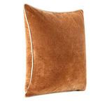 Pillow angled to highlight soft velvet texture and piping detail along side
