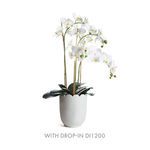 Product Image 4 for Mirabelle Scalloped Edge Cachepot from Napa Home And Garden