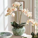 Product Image 5 for Imperial Lotus Planter from Napa Home And Garden