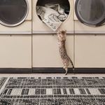 Product Image 1 for Mateo Tribal Black/ Light Gray Area Rug from Jaipur 