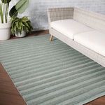Sea green striped rug styled in room with wicker sofa and plants on wood floor