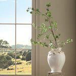 Product Image 3 for Shady Lady Black Olive Stems , Set Of 4 from Napa Home And Garden