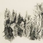 Product Image 5 for Tree Sketch Framed Black and White Artwork by Dan Hobday from Four Hands