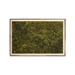 Product Image 1 for Verdants by Shade Degges - Rustic 2.5 Walnut from Four Hands