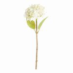 Product Image 1 for Hydrangea Stems , Set Of 6 from Napa Home And Garden