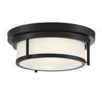 Product Image 1 for Kendra 2 Light Flush Mount from Savoy House 
