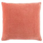 Hendrix Border Pink/ Cream Throw Pillow image 1