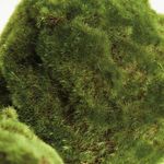 Product Image 4 for Moss Orbs, Set of 3 from Napa Home And Garden