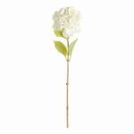 Product Image 1 for Mophead Hydrangea Stems , Set Of 4 from Napa Home And Garden