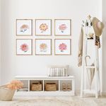 Product Image 2 for Colorful Chrysanthemum Prints, Set of 6 from Napa Home And Garden