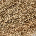 Product Image 3 for Natural Long Dried Plants Bunch from BIDKHome