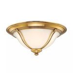Product Image 1 for Carrollton 2 Light Flush Mount from Hudson Valley