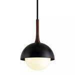 Black matte dome pendant light with a white frosted glass globe and a wooden accent on the stem