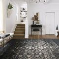 Product Image 1 for Journey Black / Tan Rug from Loloi