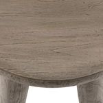 Zuri Round Outdoor End Table image 10