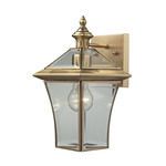Product Image 1 for Riverdale 1 Light Outdoor Sconce In Brushed Brass from Elk Lighting
