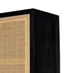 Product Image 24 for Caprice Tall Black Wash Mango Cabinet from Four Hands