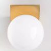Product Image 1 for Aspyn 1 Light Flush Mount from Mitzi