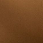 Close-up of the rust-colored upholstery fabric texture on chair’s seat and back