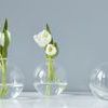 Product Image 1 for Clear Sphere Vase from etúHOME
