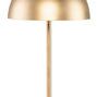 Product Image 1 for Rocio Table Lamp from Nuevo