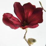 Product Image 3 for Magnolia Stems, Set of 4 from Napa Home And Garden