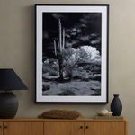 Product Image 2 for Sonoran Desert Framed Black and White Photograph by Getty from Four Hands
