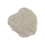 Top view showing detailed wood grain pattern and natural trunk ring texture