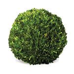 Product Image 1 for Boxwood Ball from Napa Home And Garden