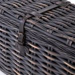 Product Image 1 for Ciego Trunk from Four Hands