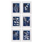 Product Image 1 for Wildflower Cyano Prints, Set Of 6 from Napa Home And Garden