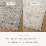 Product Image 2 for Monroe Beige / Multi Rug from Loloi
