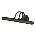 Product Image 1 for Parsifal Picture Light from Currey & Company