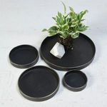 Arrangement of one large tray with plant and white stone alongside three smaller trays on a white surface