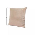 Product Image 1 for Eloise Taupe Velvet Pillow With Cream Back from Creative Co-Op