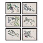 Product Image 1 for Berry Branch Botanical Study, Set Of 6 from Napa Home And Garden