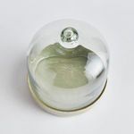 Product Image 6 for Kammie Tray With Cloche from Napa Home And Garden