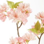Product Image 2 for Double Cherry Blossom Stems , Set Of 6 from Napa Home And Garden