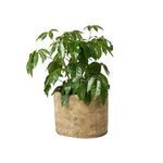Product Image 6 for Aziel Textured Stone Planter from Four Hands