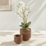 Product Image 4 for Burma Rattan Cachepots, Set Of 2 from Napa Home And Garden