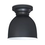 Product Image 2 for Pantry Flush Mount from Regina Andrew Design