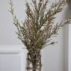 Enveloped Glass Vase filled with tall green and brown floral stems against a plain light background