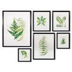Product Image 1 for Leaf Study Watercolor Gallery, Set Of 6 from Napa Home And Garden