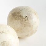 Product Image 3 for Arabella Orb, Set of 2 from Napa Home And Garden