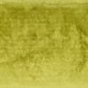 Product Image 1 for Allure Shag Citron Rug from Loloi