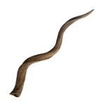 Product Image 1 for Blonde Curved Kudu Horn from Elk Home