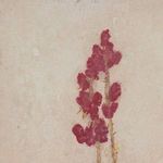 Close-up view of red yucca flower petals showing textured brushstrokes on beige background