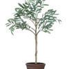Product Image 1 for Potted Faux Olive Artificial Flower from Creative Co-Op