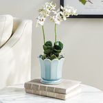 Product Image 5 for Maline Footed Pot from Napa Home And Garden