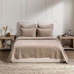Product Image 2 for Elms Velvet Cotton Blend Quilt from Classic Home
